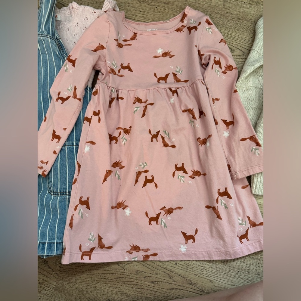 Girls Clothing Bundle Size 4–6 | OshKosh, Carter’s, Cat & Jack, Biscotti - Picture 4 of 6